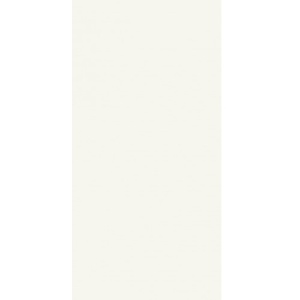 MODUL BIANCO 30X60 – POLJSKE PLOČICE PARADYZ 1kl.